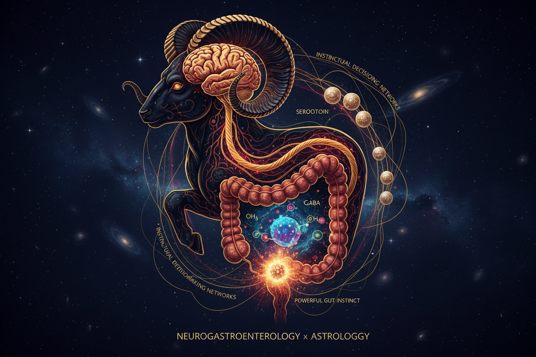 Aries Gut-Brain Axis: Your Second Brain & Intuition - Nicole's ritual universe