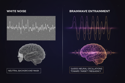 Brainwave Entrainment vs White Noise: What's the Difference?