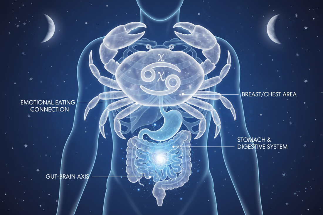 Cancer & the Stomach: Digestive Health, Emotional Eating - Nicole's ritual universe