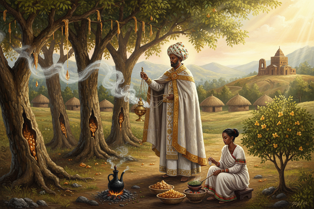 Ethiopian Sacred Plants: Frankincense, Myrrh, and Orthodox Incense - Ancient Horn of Africa Plant Wisdom - Nicole's ritual universe