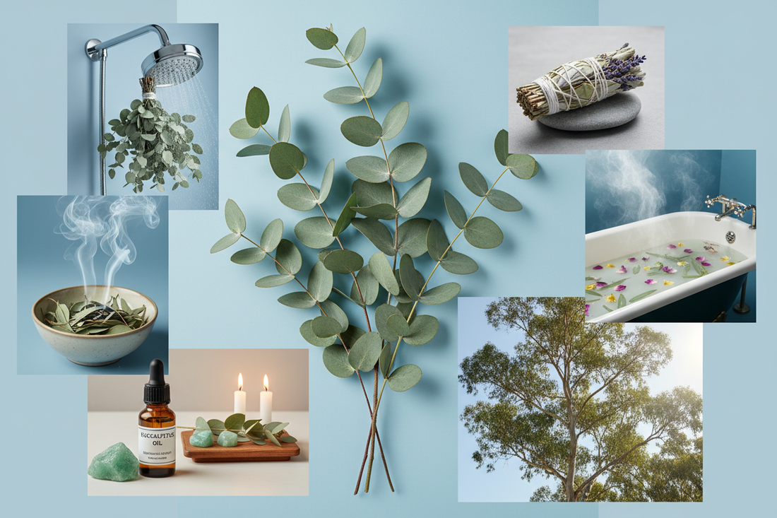 Eucalyptus Magic: Healing & Protection - Nicole's ritual universe