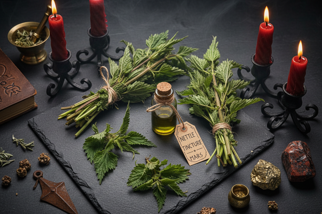 Nettle Magical Properties: Complete Witchcraft Guide