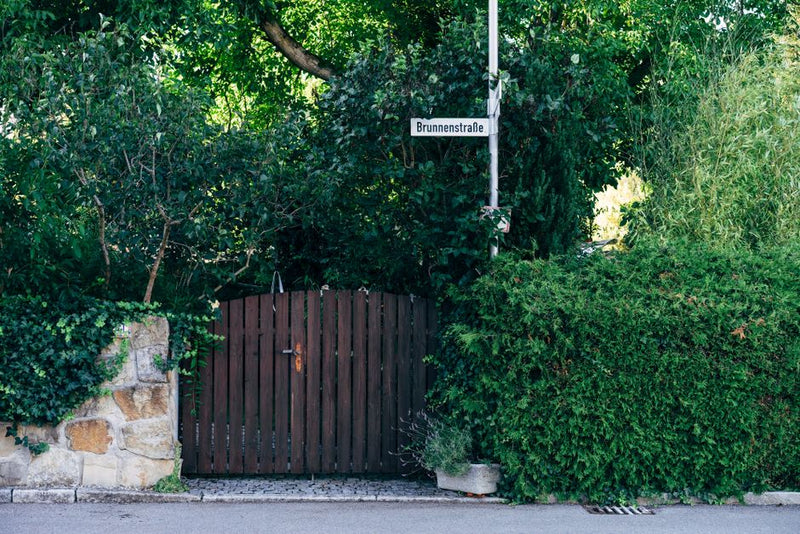 How to Build a Hedge Witch's Liminal Gate System for Cross-Realm Integration