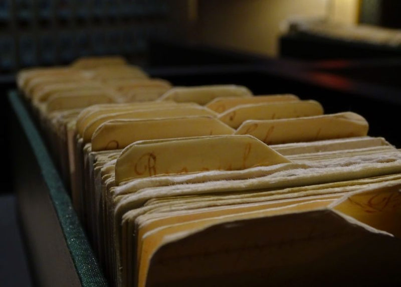 The Akashic Records Are Not a Library: What Most Misunderstand About the Morphic Field of Memory