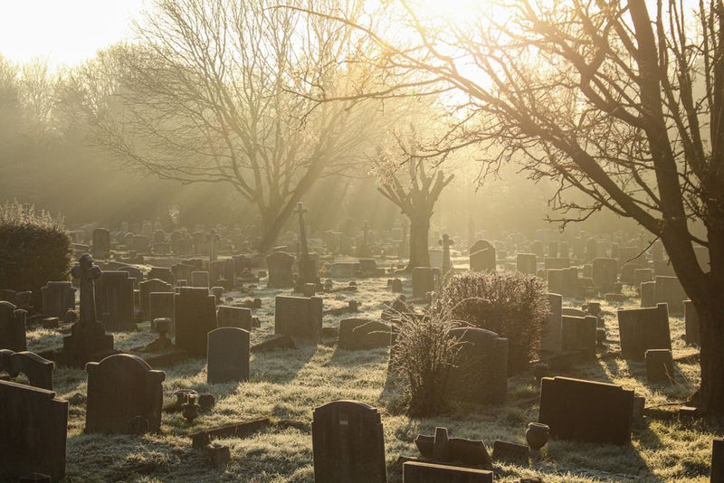 Graveyard Magic: Debunking Common Misconceptions About Cemetery Work