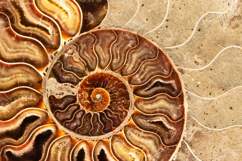 The Evolution of Love Attraction: How Ancient Energetic Principles Shape Modern Connection