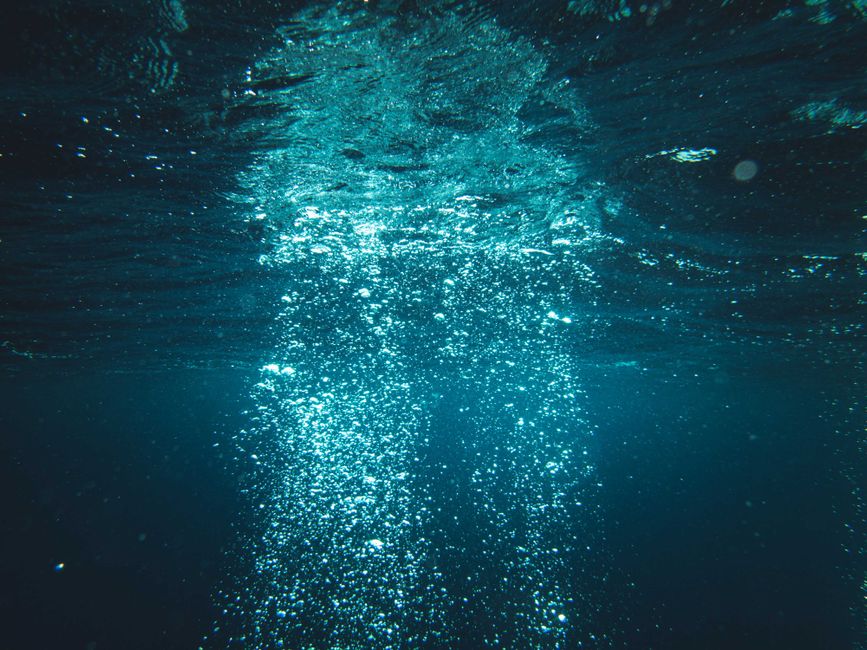 The Psychology of the Sea Witch: How Tidal Consciousness Rewires the Brain for Emotional Depth