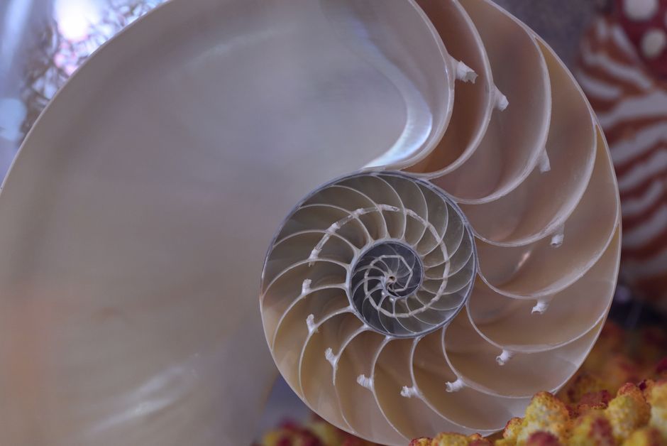 How to Use the Fibonacci Sequence for Personal Energy Alignment in Sacred Geometry