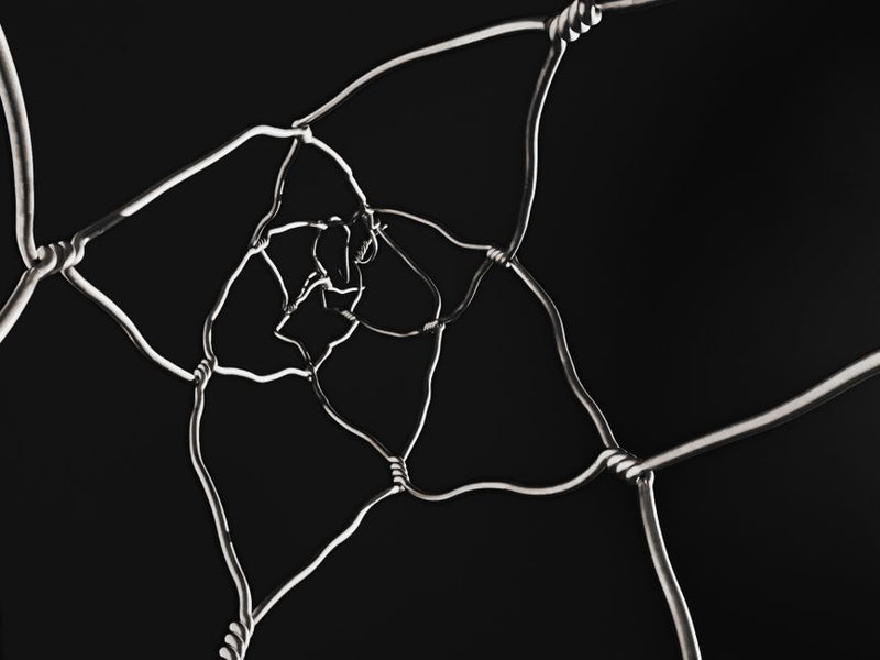 What Is a Protection Grid and How Does It Work in Sacred Geometry?