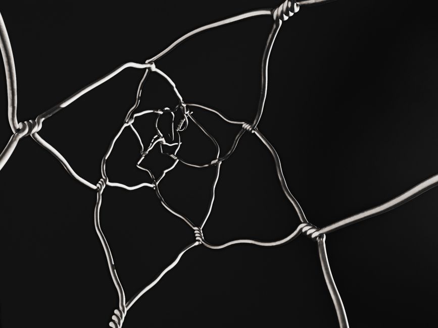 The Science of Protection: How Energetic Boundaries Affect the Nervous System