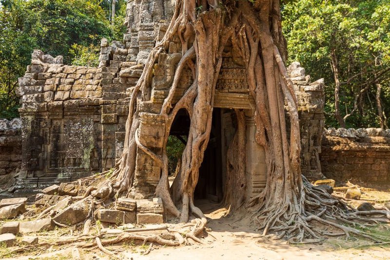 The Cultural Roots of Gnosticism: A Journey Through History