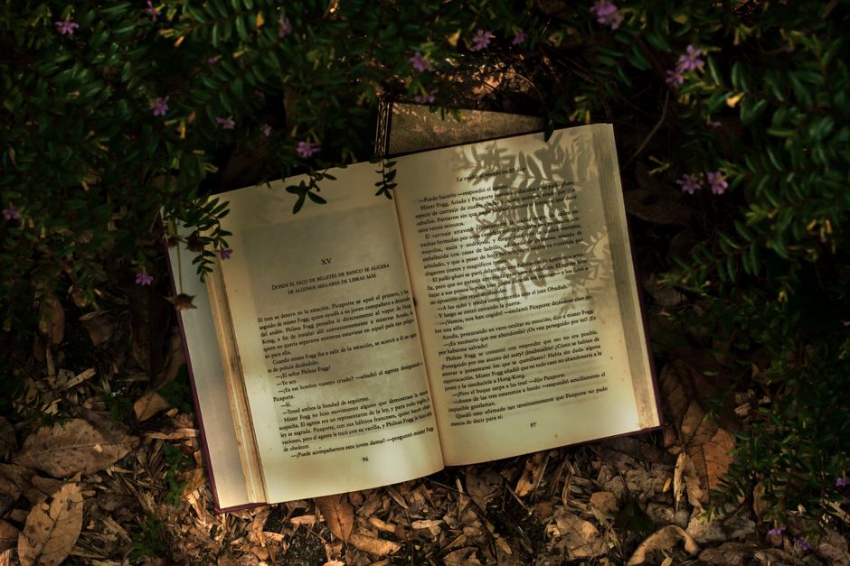 When Your Bibliomancy Book Falls Apart: Repair, Retire, or Keep Using It?