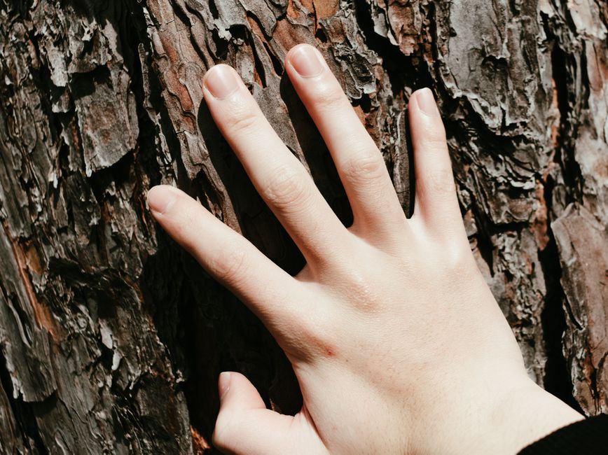 Why Grounding Feels Harder Than It Sounds: The Overlooked Problem of Sensory Orientation