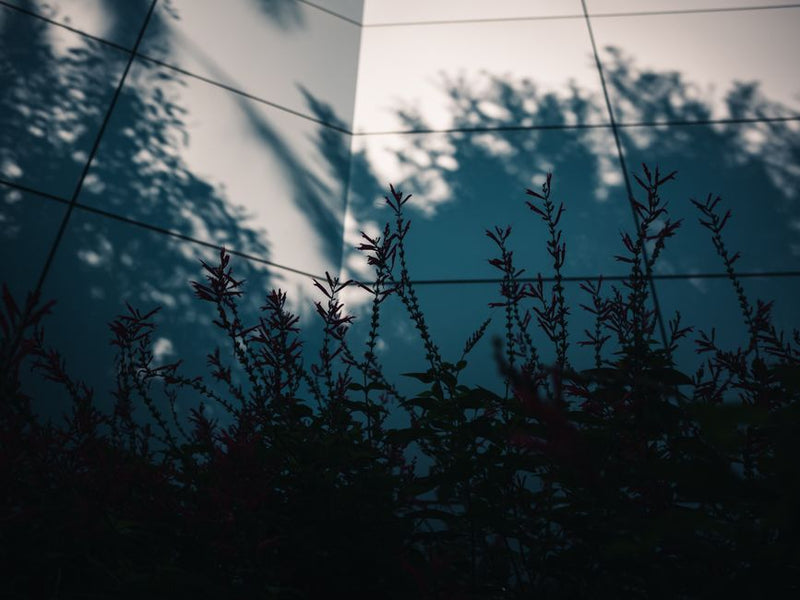 Shadow Work Timing: When to Use Reflection, Confrontation, and Integration