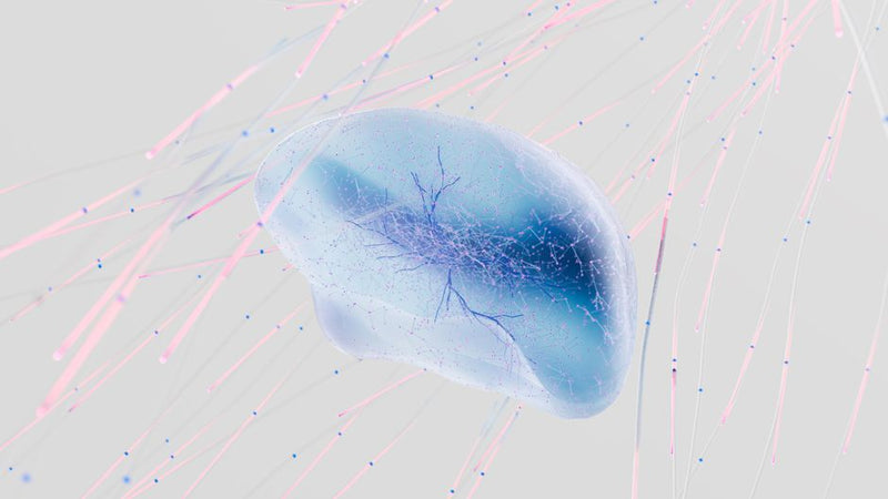 The Tree of Life as a Neural Map: Modern Research on Consciousness and Symbolic Cognition