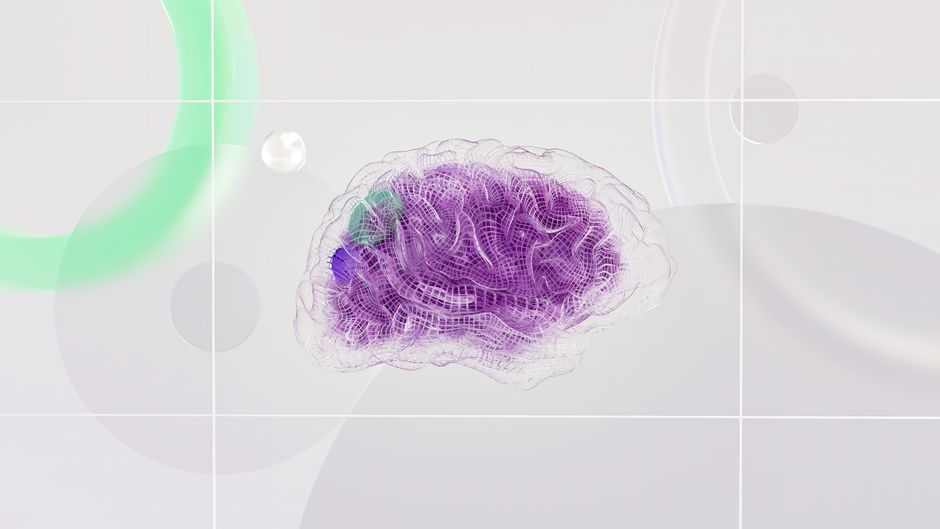 The Neural Network of the Tree of Life: How Kabbalistic Pathways Map Modern Brain Plasticity
