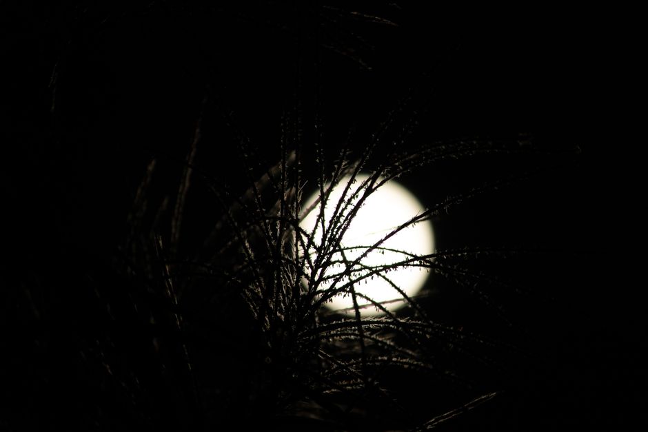Is Your Full Moon Ritual Still Working? A Check-In Guide