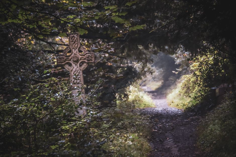 Ogham Symbolism: How to Work with Celtic Tree Meanings in Modern Practice