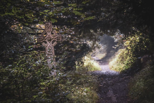 Ogham Symbolism: How to Work with Celtic Tree Meanings in Modern Practice