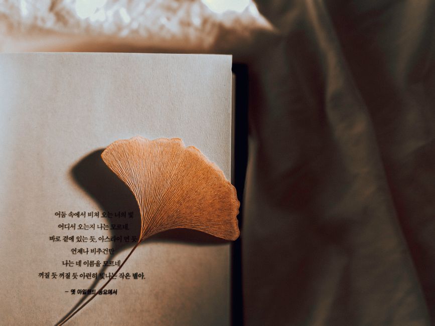 The Language of Leaves: How Plant Spirits Speak Across Cultures