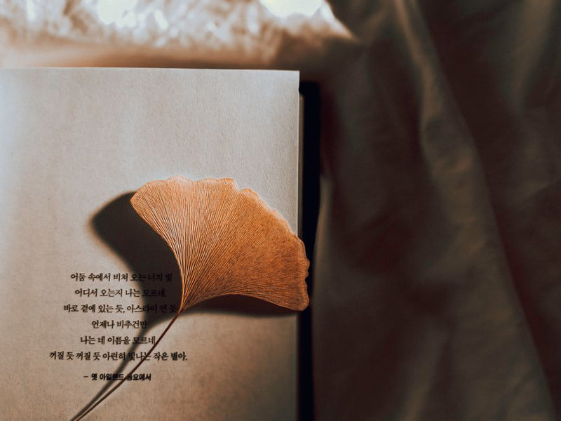 The Language of Leaves: How Plant Spirits Speak Across Cultures