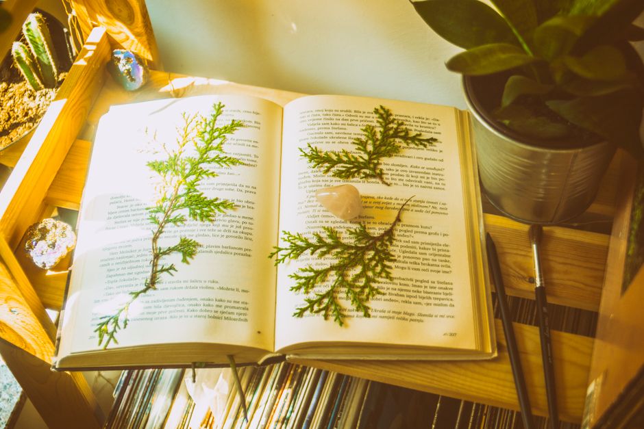 How to Read the Akashic Records: A Beginner's Guide to Accessing Your Soul's Library