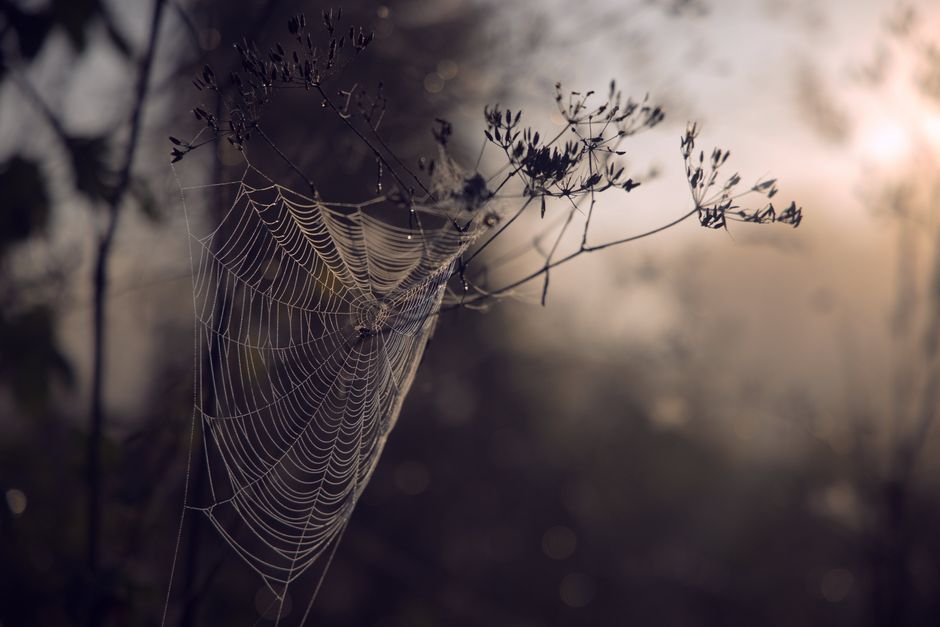 The Web of Whispers: How Sigils Weave Hidden Connections Across Time and Space