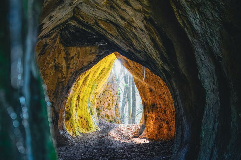 Tree of Life Audio vs. Sacred Decor: Which Path Opens the Kabbalistic Gateway Faster?