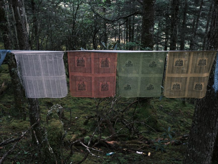 Why Tibetan Buddhist Practice Can Feel Flat: The Role of Accumulation, Lineage, and Expectation