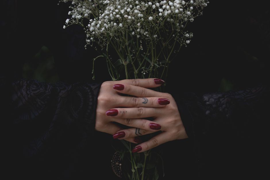 How the Green Witch Actually Works: The Mechanics of Plant-Based Energetic Resonance
