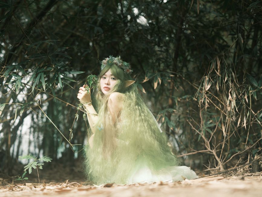 Why the Term "Plant Spirit" Is Newer Than You Think