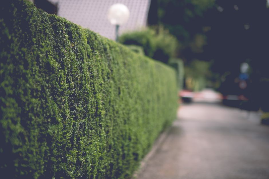 What Most People Misunderstand About Hedge Witchcraft: The Art of the Threshold, Not the Hedge
