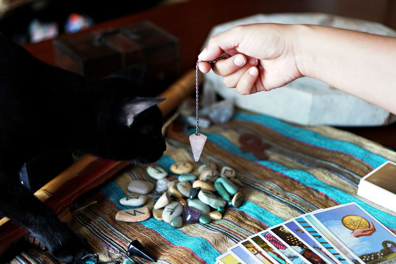 Why Your Green Witch Practice Feels Stuck: 7 Beginner Mistakes That Drain Your Magic