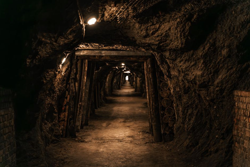 The Gatekeeper of the Abyss: Cross-Cultural Understandings of the Psychopomp in Underworld Mysteries