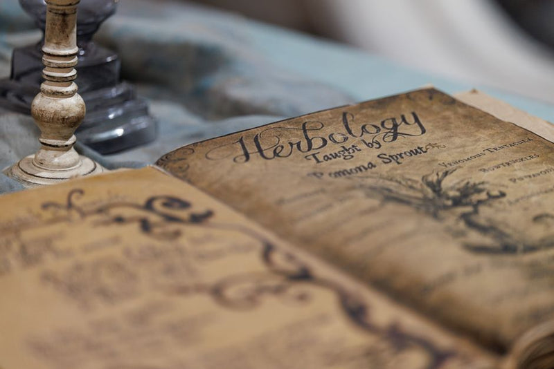 The Forgotten Roots of Herbal Magic: A Historical Journey Through Plant Alchemy