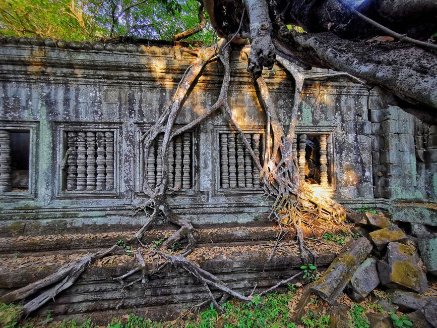 Does Bibliomancy Have Ancient Roots? What the Historical Record Actually Shows