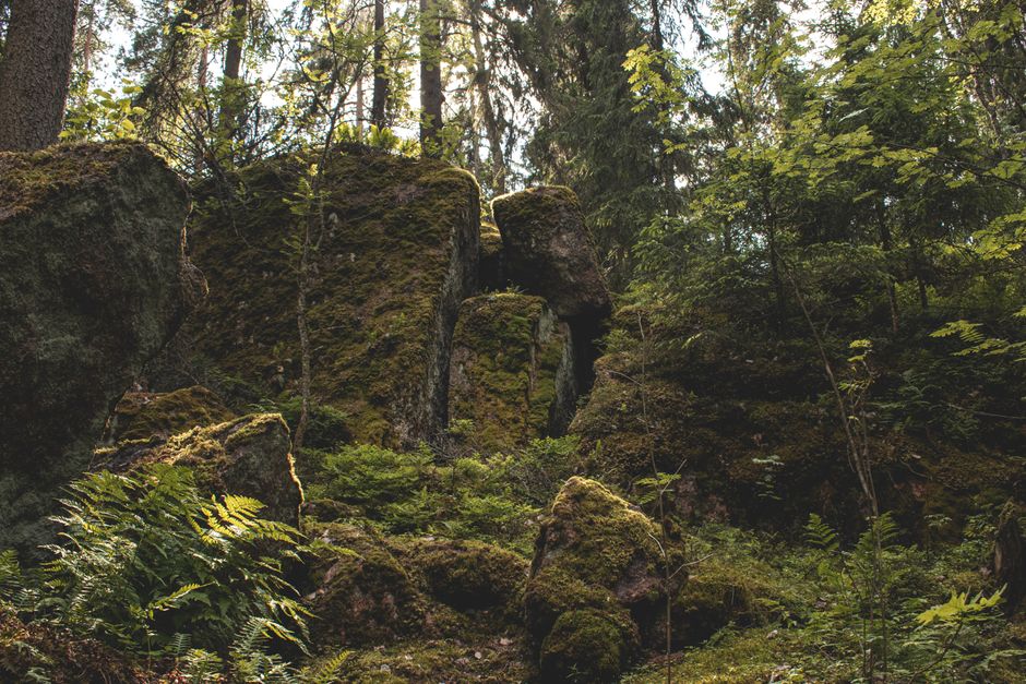 The Philosophy of the Threshold: Understanding Druidic Liminality as a Portal to the Deep Self