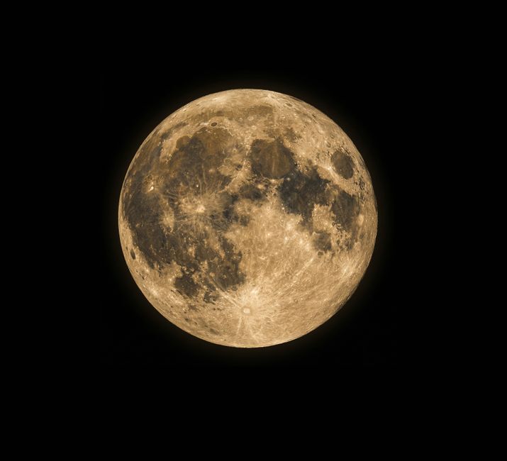 The Beginner's Guide to Moon Rituals: How to Align with Lunar Phases for Energetic Shifts