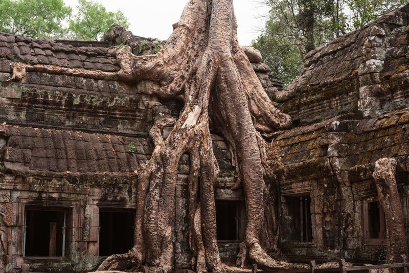 The Lost Roots of Tantra: A Journey Beyond Neo-Tantric Myths