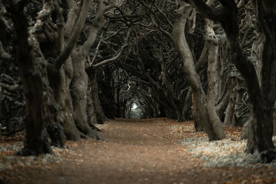 The Hedge and the Hearth: Underlying Principles of Threshold Magic in Hedge Witchcraft