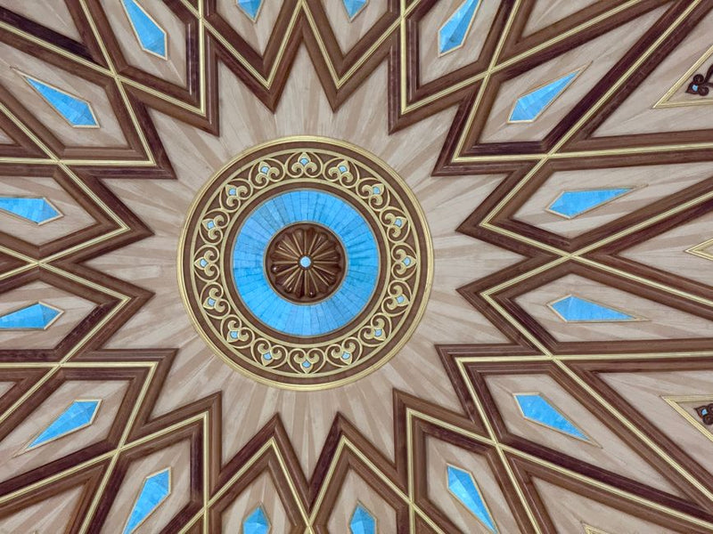 The Seed of Life: A Beginner's Guide to the First Pattern in Sacred Geometry