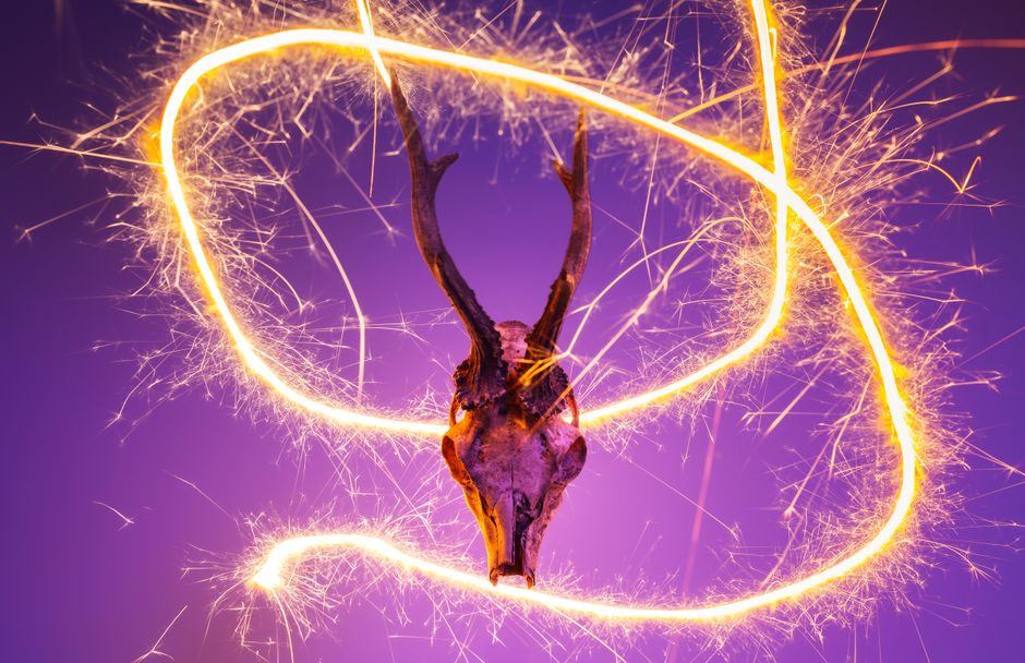 Which Animal Spirit Guide Tool Actually Fits Your Practice?