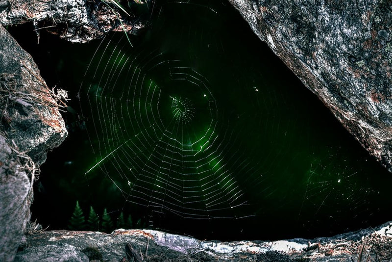 The Hidden Threads: Understanding Fractal Magic and the Web of Sympathetic Resonance