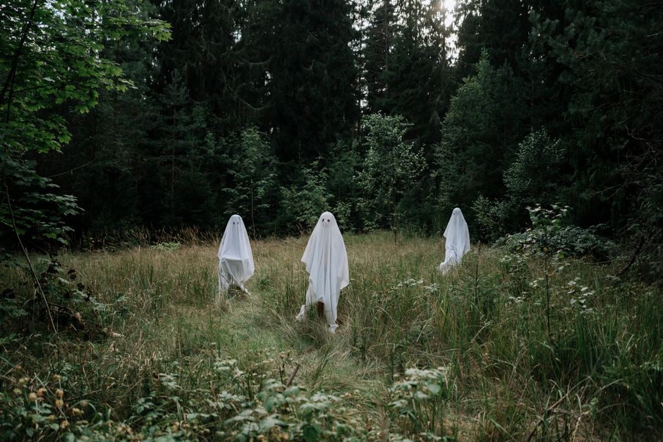 Plant Spirits & the Misconception of Passive Communication
