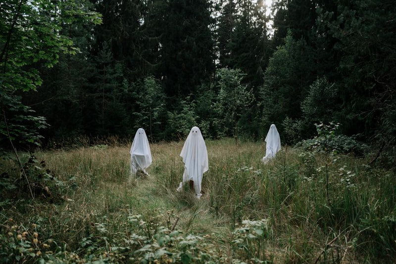 Plant Spirits & the Misconception of Passive Communication
