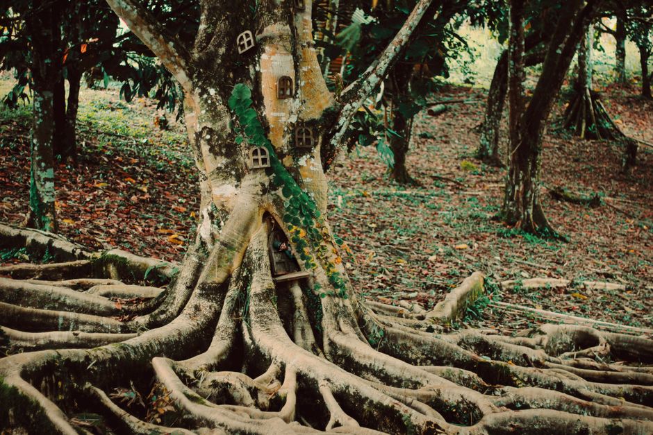 Ancient Earth Magic: Understanding the Roots and Reviving the Practice