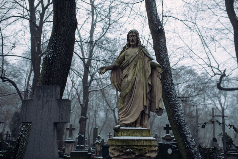 Grave Dust vs. Graveyard Dirt: A Comparative Guide to Necromantic Earth Energies