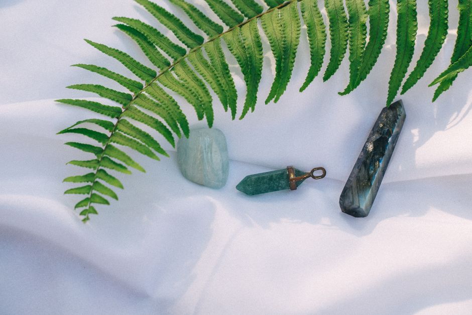 Surprising Facts About Plant Spirits and How to Connect With Them