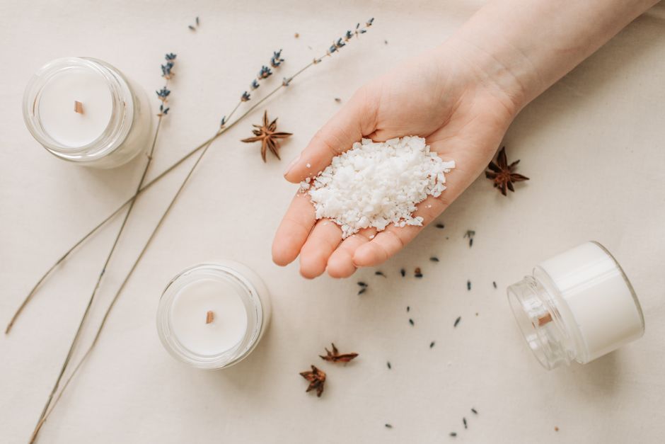 Best Plant Spirit Candles for Meditation: Which Scented Soy Candle Guides Your Green Ally Work?