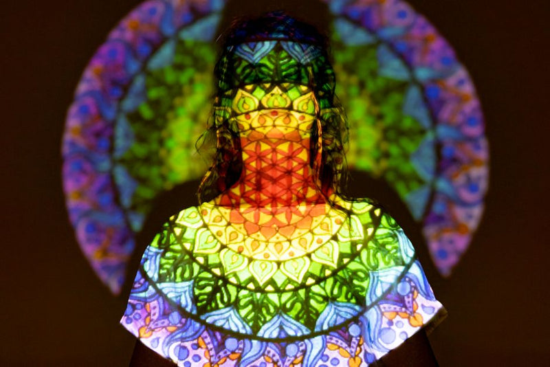 The Vesica Piscis Bridge: How Sacred Geometry Integrates Body, Mind, and Field